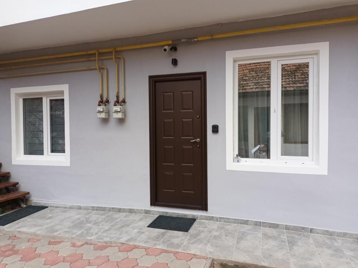 3 Josepartment Apartment Timisoara Ngoại thất bức ảnh